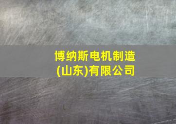 博纳斯电机制造(山东)有限公司