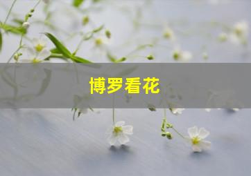 博罗看花