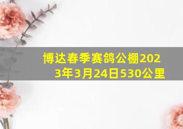 博达春季赛鸽公棚2023年3月24日530公里