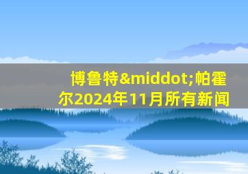 博鲁特·帕霍尔2024年11月所有新闻