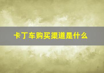 卡丁车购买渠道是什么