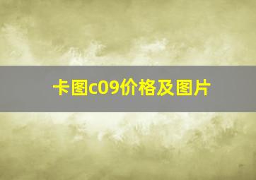 卡图c09价格及图片