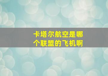 卡塔尔航空是哪个联盟的飞机啊