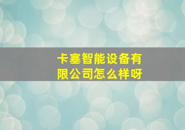 卡塞智能设备有限公司怎么样呀