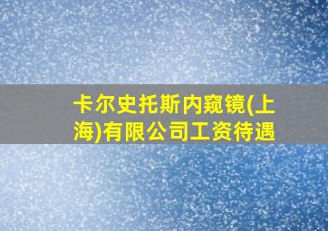 卡尔史托斯内窥镜(上海)有限公司工资待遇