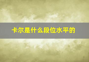 卡尔是什么段位水平的