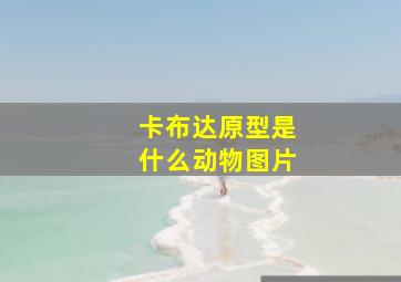 卡布达原型是什么动物图片