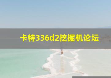 卡特336d2挖掘机论坛