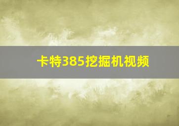 卡特385挖掘机视频