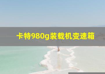 卡特980g装载机变速箱