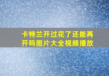 卡特兰开过花了还能再开吗图片大全视频播放