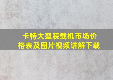 卡特大型装载机市场价格表及图片视频讲解下载