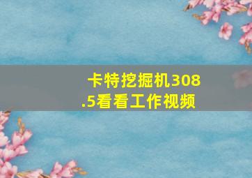 卡特挖掘机308.5看看工作视频