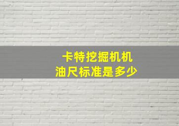 卡特挖掘机机油尺标准是多少