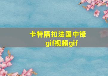 卡特隔扣法国中锋gif视频gif