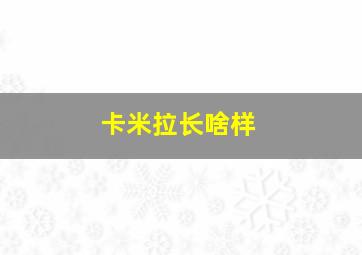 卡米拉长啥样