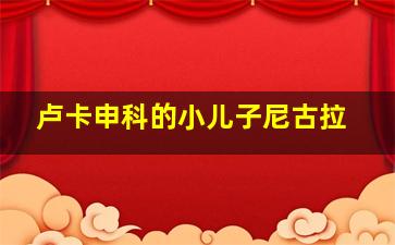 卢卡申科的小儿子尼古拉