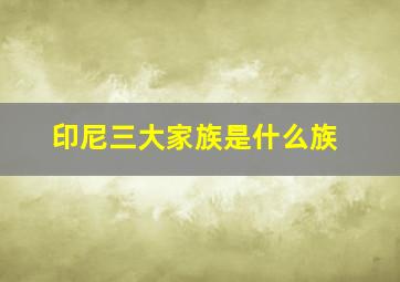 印尼三大家族是什么族