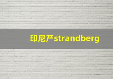 印尼产strandberg