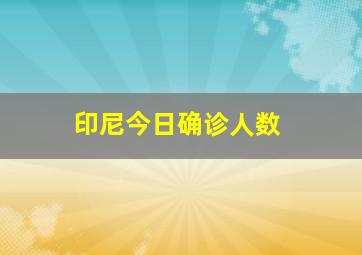 印尼今日确诊人数