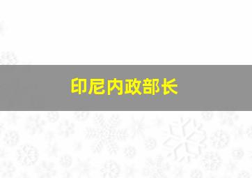 印尼内政部长