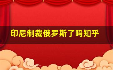 印尼制裁俄罗斯了吗知乎