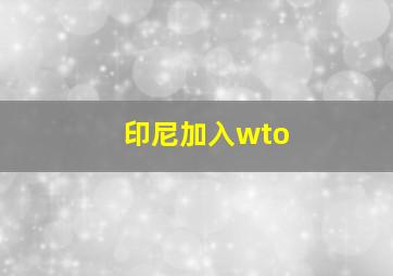 印尼加入wto