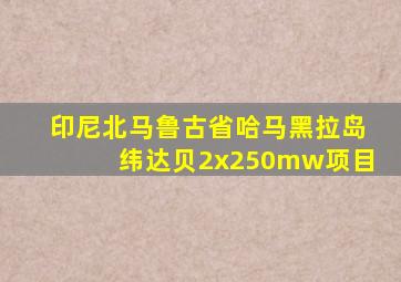 印尼北马鲁古省哈马黑拉岛纬达贝2x250mw项目