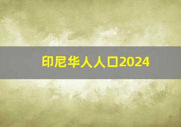 印尼华人人口2024