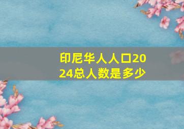 印尼华人人口2024总人数是多少