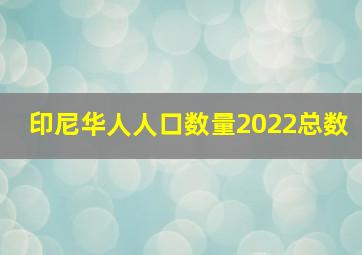 印尼华人人口数量2022总数