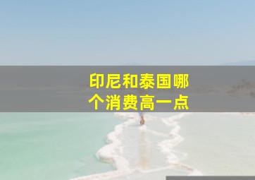 印尼和泰国哪个消费高一点