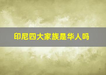 印尼四大家族是华人吗