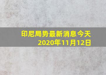 印尼局势最新消息今天2020年11月12日