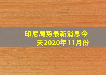 印尼局势最新消息今天2020年11月份