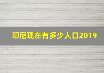 印尼现在有多少人口2019