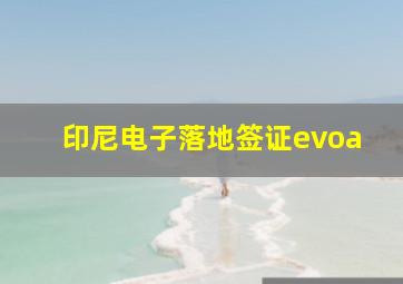 印尼电子落地签证evoa