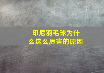 印尼羽毛球为什么这么厉害的原因