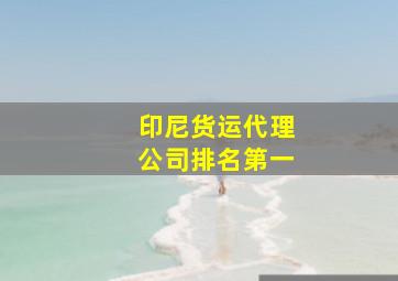 印尼货运代理公司排名第一