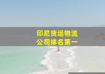 印尼货运物流公司排名第一