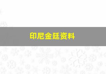 印尼金廷资料