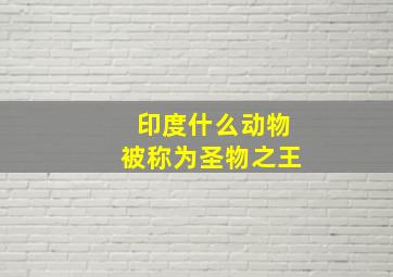 印度什么动物被称为圣物之王