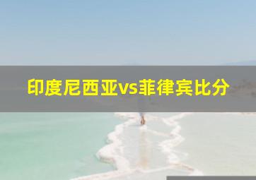 印度尼西亚vs菲律宾比分