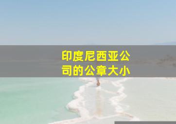 印度尼西亚公司的公章大小