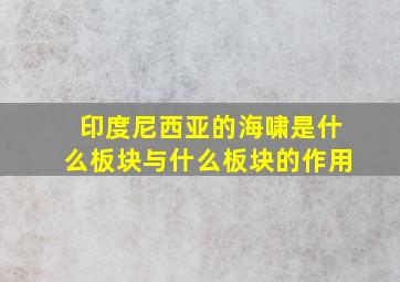 印度尼西亚的海啸是什么板块与什么板块的作用