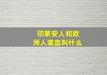 印第安人和欧洲人混血叫什么