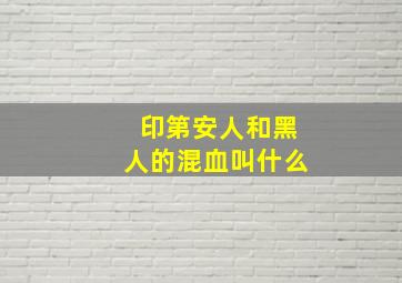 印第安人和黑人的混血叫什么