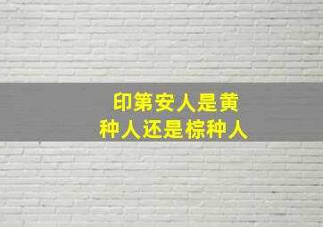 印第安人是黄种人还是棕种人