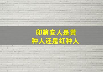 印第安人是黄种人还是红种人