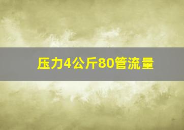 压力4公斤80管流量